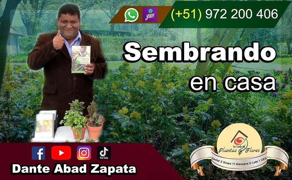 Diseño publicitario 2
